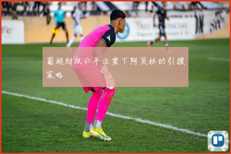 葡超财政公平法案下阿莫林的引援策略
