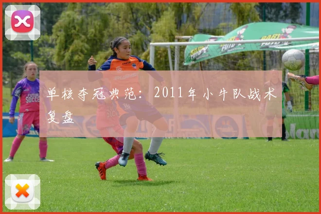 单核夺冠典范：2011年小牛队战术复盘