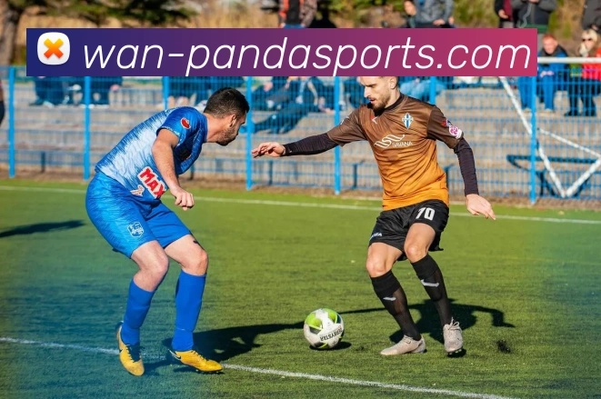 熊猫体育发展历程